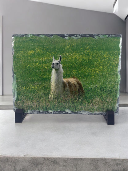 customized slate